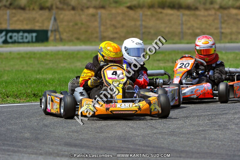 DSC_ (304).jpg